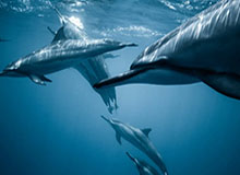 开云APP-中国足协原副主席李毓毅被判11年 并处罚金100万